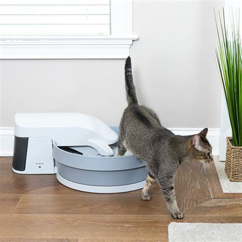 best electric cat litter box for big cats|cheapest automatic cat litter box.